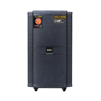 Temeisheng 15 Inch Professional Audio Video Karaoke System