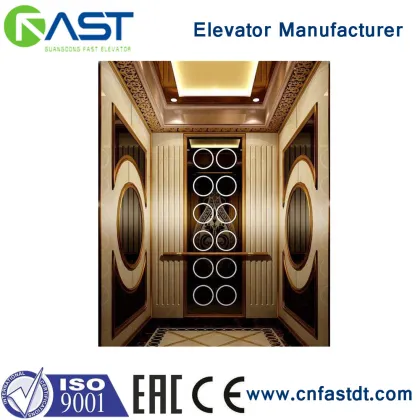FAST Environmental Protection and Energy Saving Elevator Lift