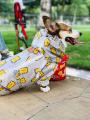 Σχεδιασμός μόδας 7 μεγέθη Pet Dogs Raincoat