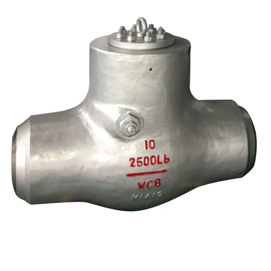 Pressure Seal Swing Type Check Valve