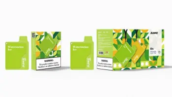 Dunke Disposable E Cigarettes 1200Puffs Vape Pen Vaporizer