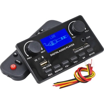 Lossless Bluetooth 5.0 Audio Player with FM Radio and Multiple Format Support