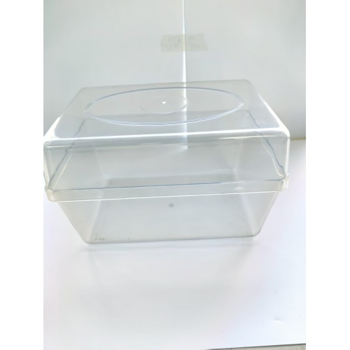 Seed germination plastic box Injection molding