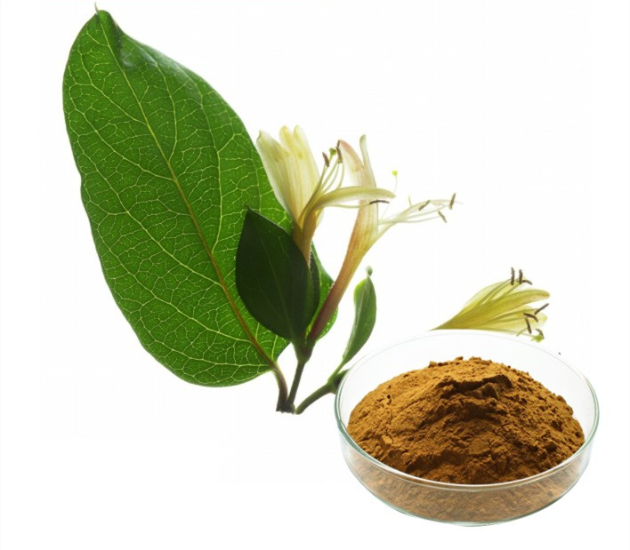 honeysuckle bush