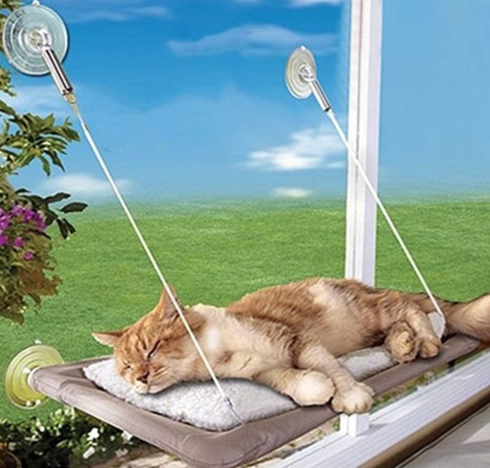 Hammock Basking Cat Pads