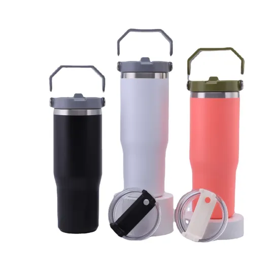Wholesale European & American Design 304 Stainless Steel Insulated Sports Water Bottles