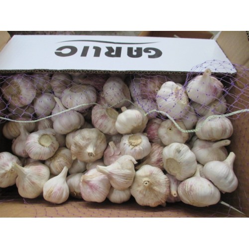 2020 Top Quality Fresh Normal White Garlic