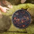 Stainless Steel Grill Grate Cooking Grid