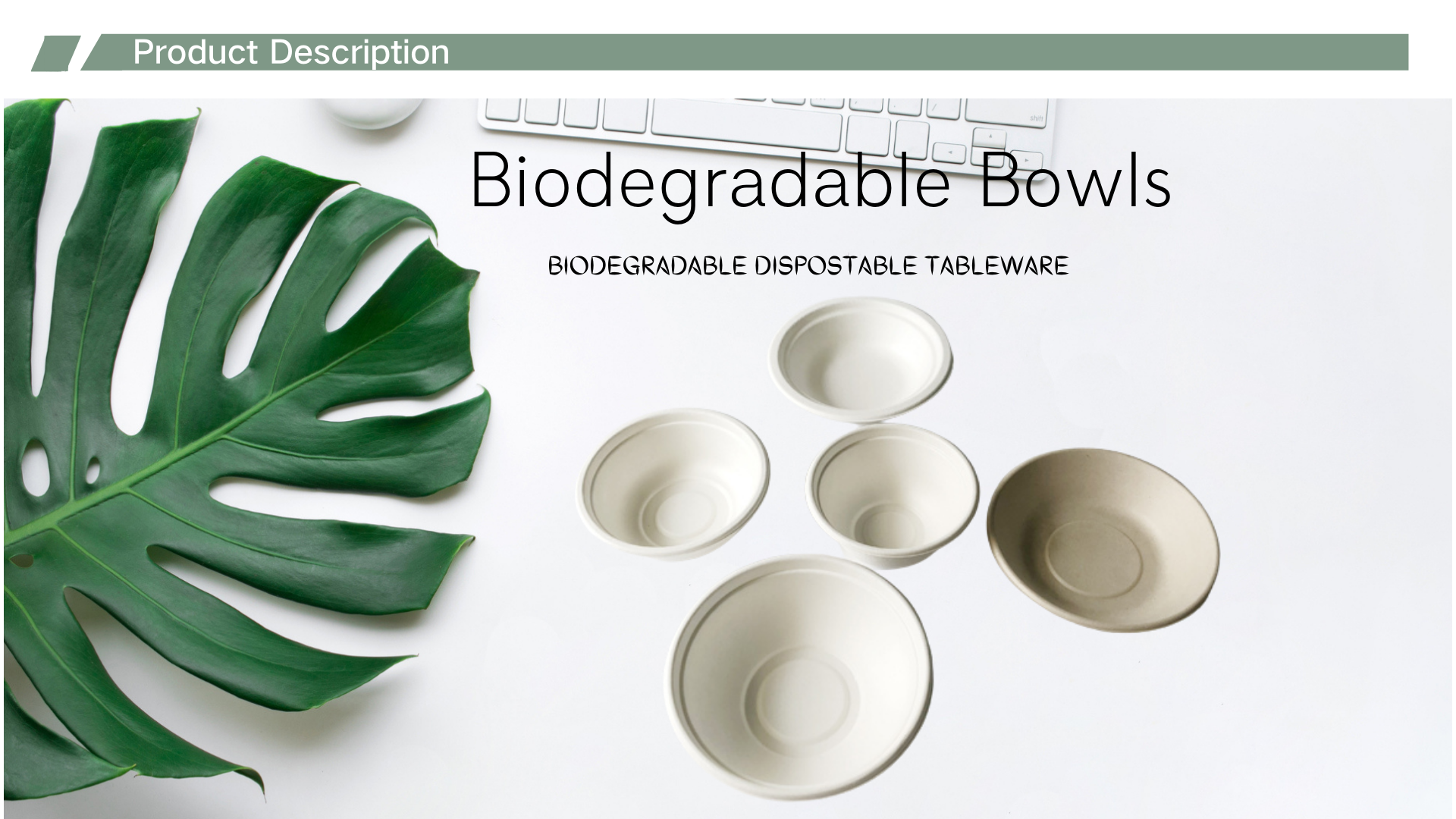 bagasse bowls