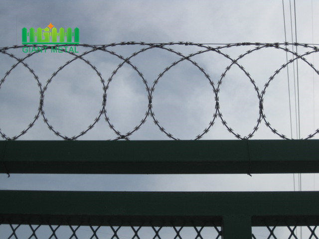 barbed wire hot diped galvanized razor blade wire