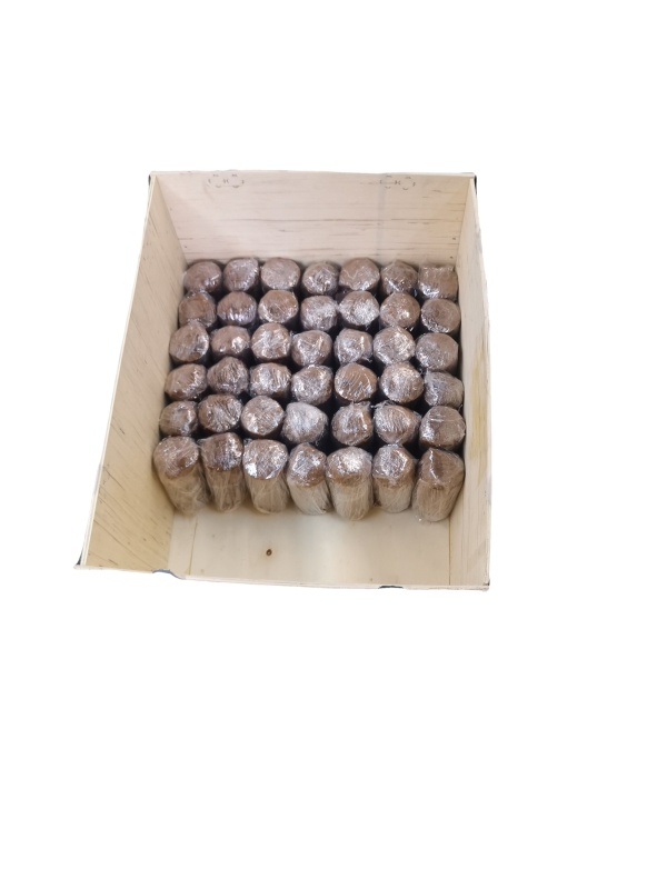 Customized Small Copper Spur Worm Gear