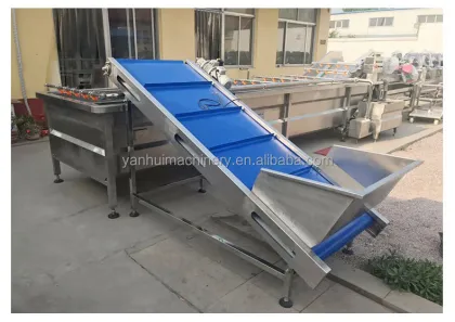 Seafood Processing Machine: Clam Shellfish Squid Mussel Washer and Pineapple Cutting Carving Blanching Production Line