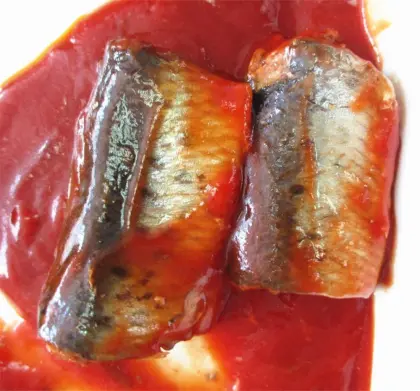 Canned Pilchard Sardine Fish