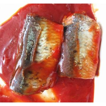 Tomato Sauce Flavor Canned Sardine Fish