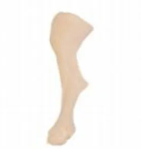 Small dog hind limb intravenous infusion model