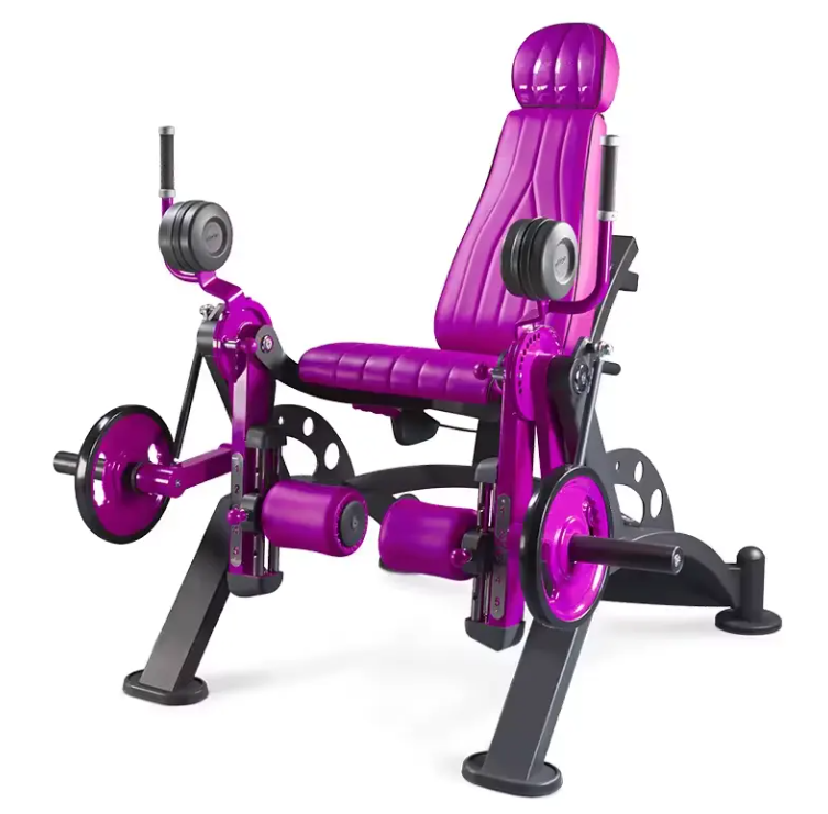 Popular High Quality Alternate leg extension
