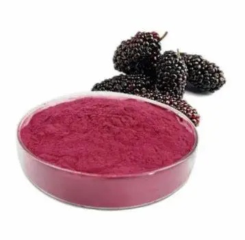 Black Mulberry Extract Anthocyanin