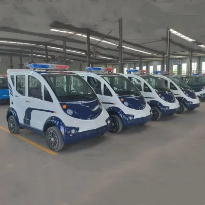 Electric sightseeing patrol car