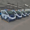 Patrulla de turismo eléctrico