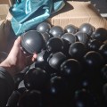 Palline tonalità per uccelli HDPE da 100 mm da 10 cm