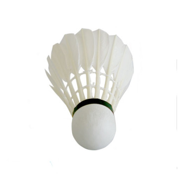 badminton(BD-204)