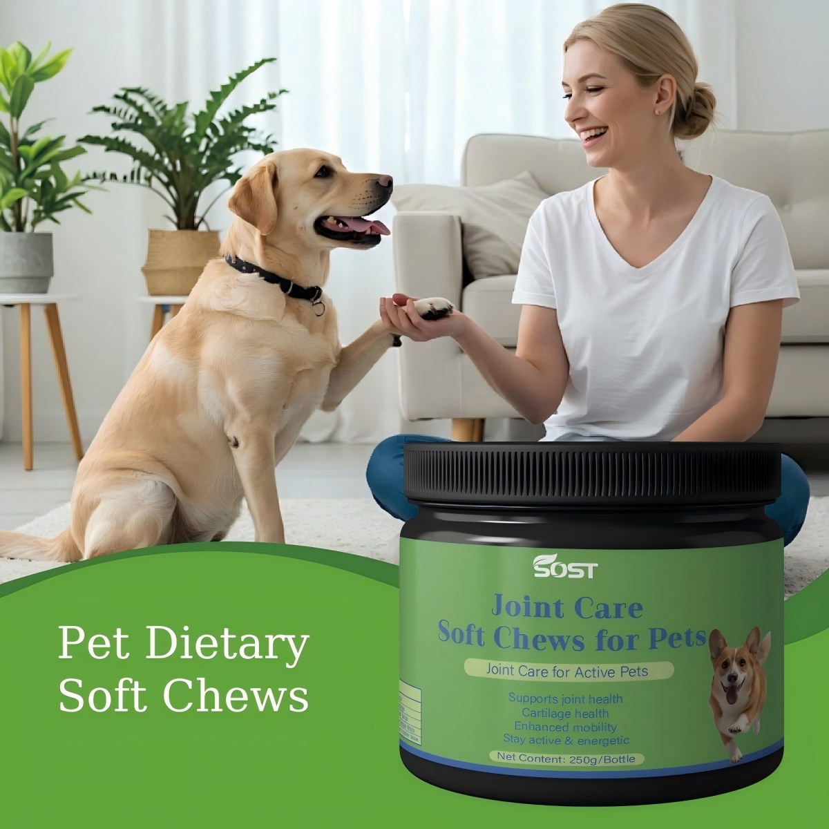 joint soft chews
