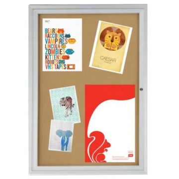 Cork Enclosed Bulletin Board 24x36 with Hinged Door