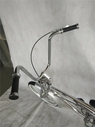 20 Inch Springer Fork Lowrider Bicycle Beach Cruiser