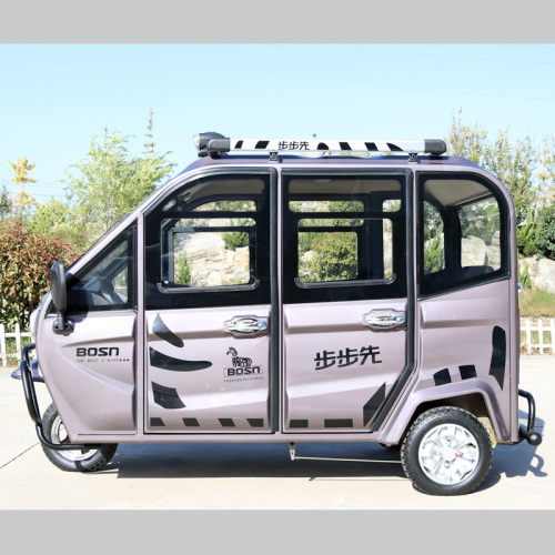 Family Use Fully Enclosed Electric Tricycles For Passenger