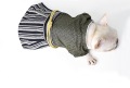 Κατοικίδιο ζώο σαμουράι ρούχα cat corgi σκύλου