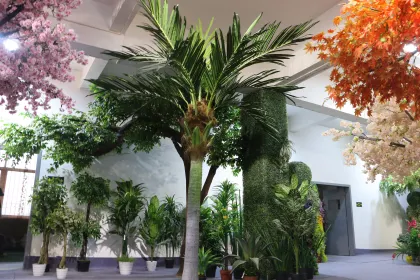 Artificial Coconut Palm Trees for Outdoor Royal Palm Decoration