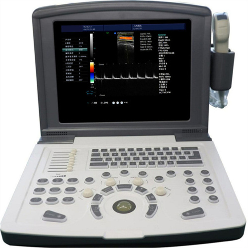 Portable Color Doppler Ultrasound Machine for Sheep Pig