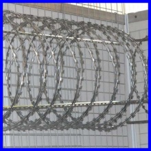 Concertina Razor Wire 450mm coil diameter