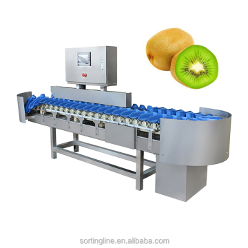 Machine de classement à plusieurs niveaux pour l'inspection des aliments