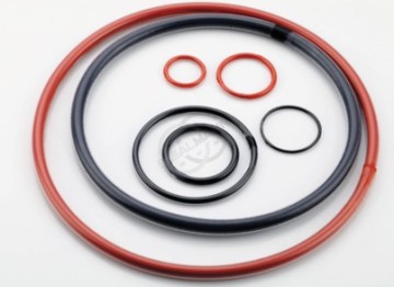 Encapsulated O-Rings