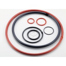 Encapsulated O-Rings