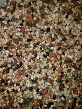 Grain Polishing Machine and Seeds Mixer