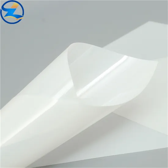 Rigid PP Film Sheet Rolls for food packaging