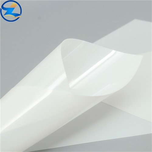 Rigid PP Film Sheet Rolls for food packaging