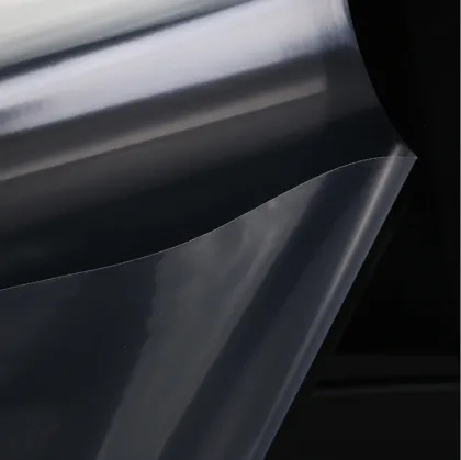 Plastic PA PE Thermoforming Film