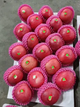2020 Crop Delicious Fresh Red FUJI Apple