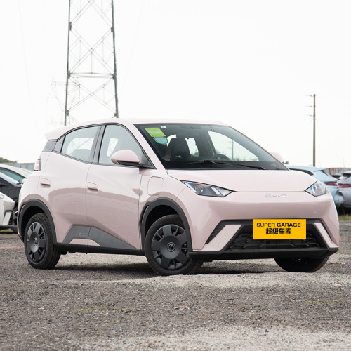 Sedan electric Seagull cu 5 uși