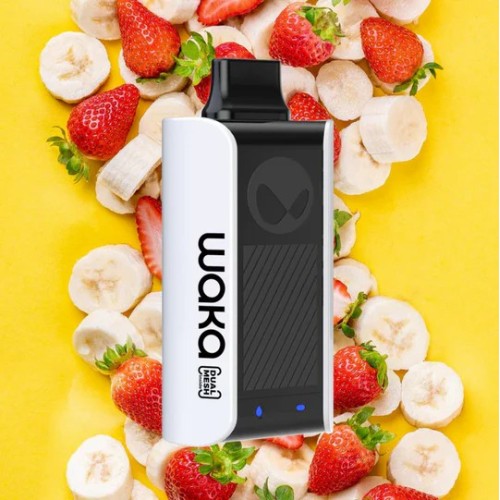 Vape asli Waka soPro PA10K