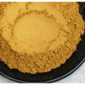High Quality Natural Organic Phellinus Igniarius Extract Powder