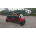 Premium Oyun için Lüks Elektrikli Golf Araçları