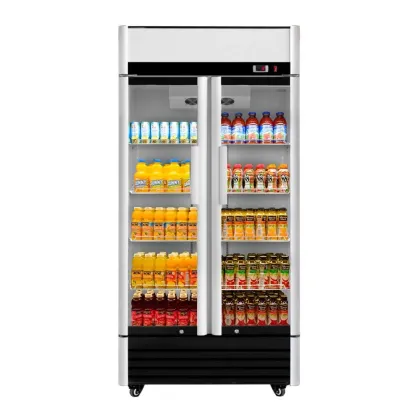 630L Double Door Beverage Display Cooler for Pepsi and Cola