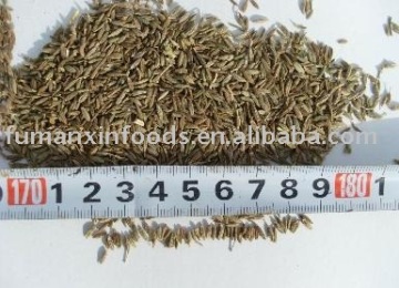 chinese cumin seeds