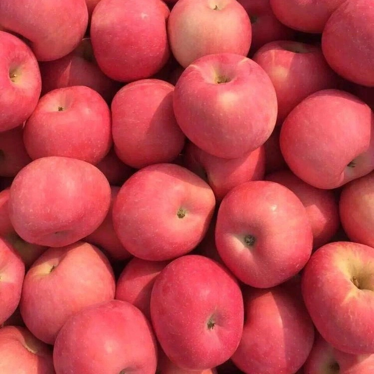 Japanese Sun Fuji Apples Selling for 60 Yuan Apiece in China