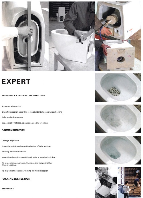 floor mounted toilet