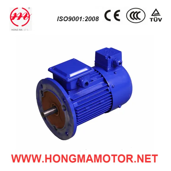 Aluminum Frequency Variable Three Phase Asynchronous Motor